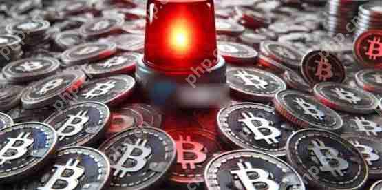 CryptoQuant预告：链上动能偏弱 比特币反弹恐不稳固